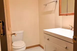 310 Starling Ct, Bloomingdale, IL 60108 - Photo 10