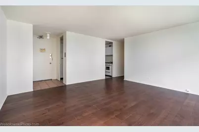 1451 E 55th Street #620N, Chicago, IL 60615 - Photo 6