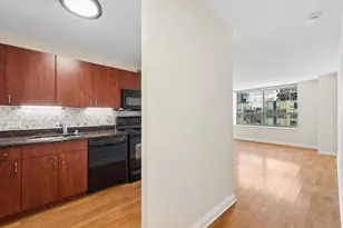 474 N Lake Shore Dr, Chicago, IL 60611 - Photo 16