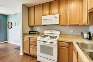 538 Blue Springs Dr, Fox Lake, IL 60020 - Photo 14