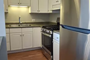 2605 S Indiana Ave, Chicago, IL 60616 - Photo 10