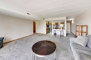 9750 Koch Ct, Orland Park, IL 60467 - Photo 4