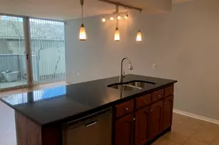 3115 S Michigan Ave, Chicago, IL 60616 - Photo 2
