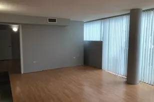3115 S Michigan Ave, Chicago, IL 60616 - Photo 10