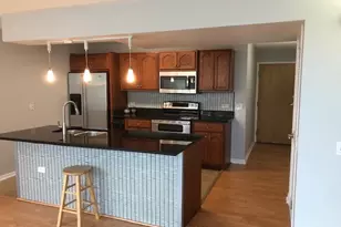3115 S Michigan Ave, Chicago, IL 60616 - Photo 4