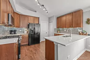 1009 Birchwood Dr, Pingree Grove, IL 60140 - Photo 10