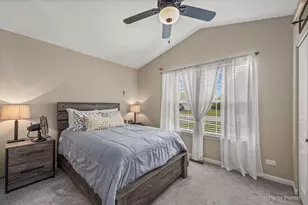 1009 Birchwood Dr, Pingree Grove, IL 60140 - Photo 22