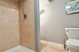 3 Catalpa Ct, Woodridge, IL 60517 - Photo 20