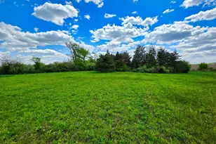 1947 E Steger Rd, Crete, IL 60417 - Photo 1