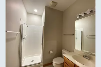 13520 S Buckthorn Lane, Plainfield, IL 60544 - Photo 8