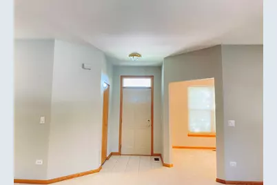 13520 S Buckthorn Lane, Plainfield, IL 60544 - Photo 2