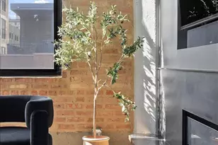 850 W Adams St, Chicago, IL 60607 - Photo 14