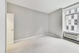 211 E Ohio St, Chicago, IL 60611 - Photo 10