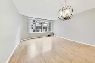 211 E Ohio St, Chicago, IL 60611 - Photo 6