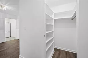 850 N Dewitt Pl, Chicago, IL 60611 - Photo 10