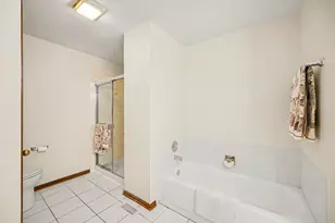 21068 W Hazelnut Ln, Plainfield, IL 60544 - Photo 16