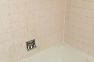 5063 N Mango Ave, Chicago, IL 60630 - Photo 8