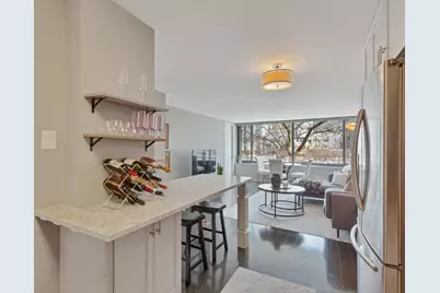 1555 N Sandburg Terrace #310K, Chicago, IL 60610 - Photo 6
