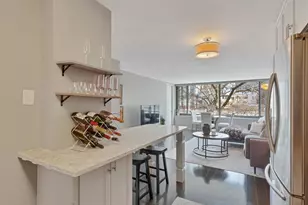 1555 N Sandburg Terrace, Chicago, IL 60610 - Photo 6