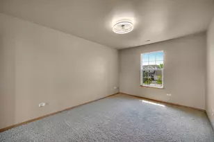 4730 W Lilac Ave, Monee, IL 60449 - Photo 22