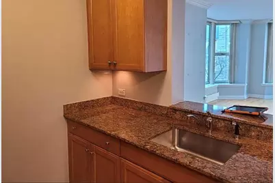 25 E Superior Street #501, Chicago, IL 60611 - Photo 4