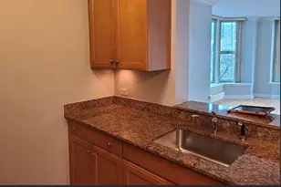 25 E Superior St, Chicago, IL 60611 - Photo 4