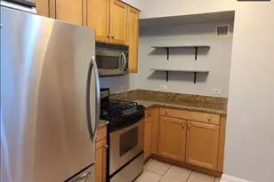 25 E Superior St, Chicago, IL 60611 - Photo 2