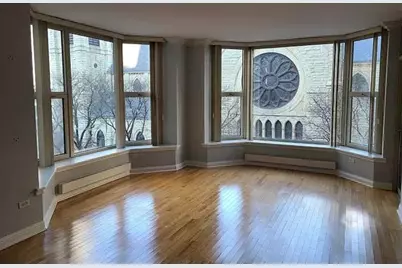 25 E Superior Street #501, Chicago, IL 60611 - Photo 6