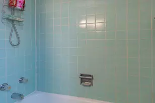 8725 S Harper Ave, Chicago, IL 60619 - Photo 22