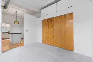 1307 S Wabash Ave, Chicago, IL 60605 - Photo 10