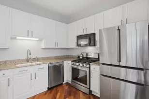 233 E 13th St, Chicago, IL 60605 - Photo 4