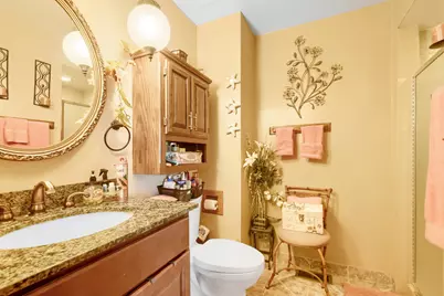 22417 Riverside Drive, Richton Park, IL 60471 - Photo 22