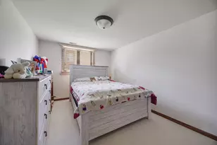 21223 Alessandra Dr, Matteson, IL 60443 - Photo 14