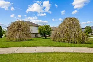 21223 Alessandra Dr, Matteson, IL 60443 - Photo 20