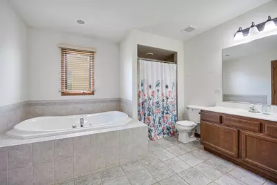 21223 Alessandra Drive, Matteson, IL 60443 - Photo 10