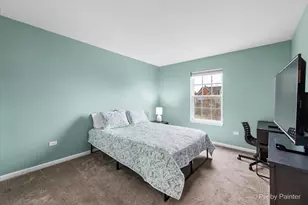 26428 Rustling Birch Way, Plainfield, IL 60585 - Photo 26