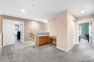 26428 Rustling Birch Way, Plainfield, IL 60585 - Photo 18