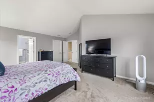 26428 Rustling Birch Way, Plainfield, IL 60585 - Photo 20