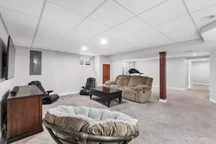 26428 Rustling Birch Way, Plainfield, IL 60585 - Photo 32