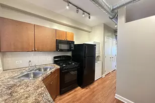674 N Orleans St, Chicago, IL 60654 - Photo 4