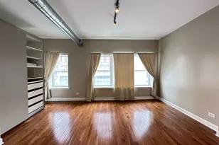 674 N Orleans St, Chicago, IL 60654 - Photo 12