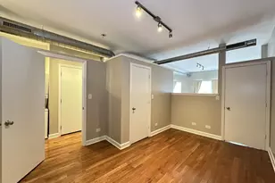 674 N Orleans St, Chicago, IL 60654 - Photo 16