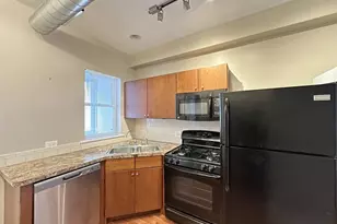 674 N Orleans St, Chicago, IL 60654 - Photo 2