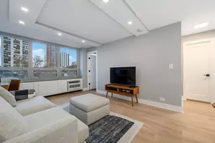 88 W Schiller St, Chicago, IL 60610 - Photo 8