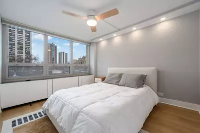 88 W Schiller Street #307L, Chicago, IL 60610 - Photo 12