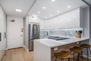 88 W Schiller St, Chicago, IL 60610 - Photo 4
