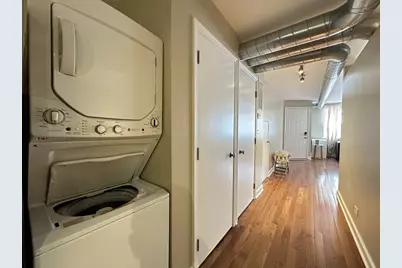 674 N Orleans Street #1, Chicago, IL 60654 - Photo 20