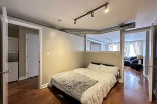 674 N Orleans St, Chicago, IL 60654 - Photo 16