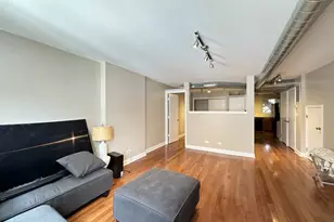 674 N Orleans St, Chicago, IL 60654 - Photo 8