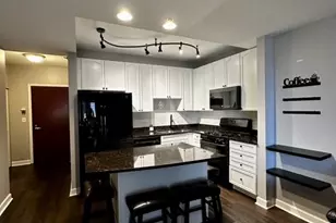 1250 S Michigan Ave, Chicago, IL 60605 - Photo 4